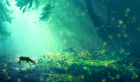 绿光森林与麋鹿