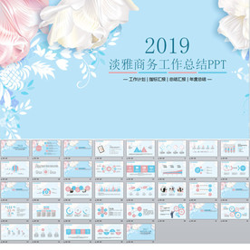 淡雅商务工作总结PPT