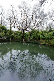 杭州西湖小瀛洲