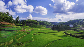 美丽的自然景色图片