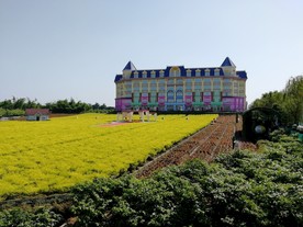 百万葵园 城堡