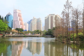荔枝公园的春天平静的湖水很美