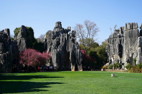 云南石林景区的风景