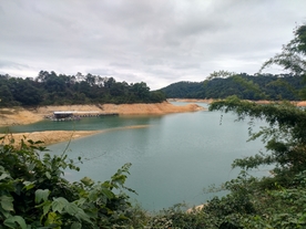 万绿湖湖水