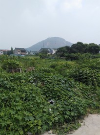 阳山