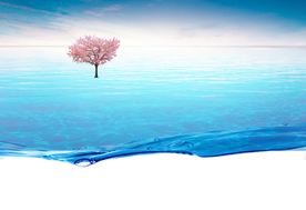江 水 湾 江岸