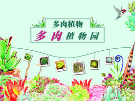 多肉植物 多肉植物海报