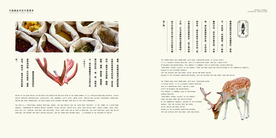 中国风中式中医医药传统文化画册