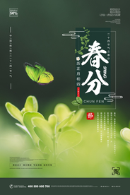 春分节气海报图片