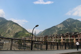 大山 深山 老林 树木 桥