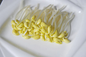 豆芽