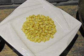 豆芽  芽菜  农业  食材