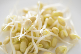 豆芽  芽菜  农业  食材
