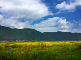 草原湿地
