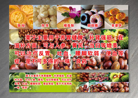 板栗栗子