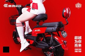 赛鸽电动车海报