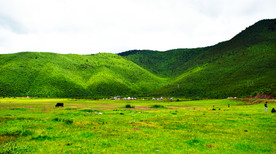 高原