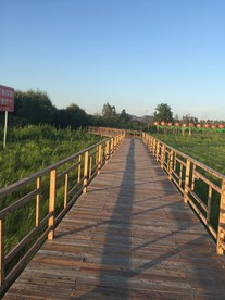 自然 自然景观 树林 山 蓝天