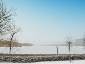 四季 雪景 湖面 楼 树木