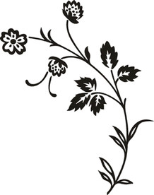 花边