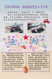 科普 展板 海洋动物海洋生物