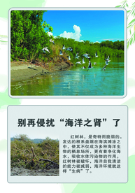 科普 展板 海洋动物海洋生物