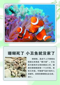 科普 展板 海洋动物海洋生物