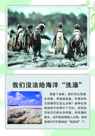 科普 展板 海洋动物海洋生物