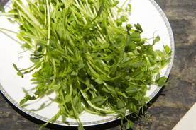 豌豆苗