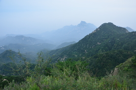 泰山