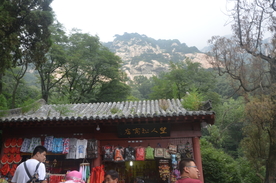 泰山景色