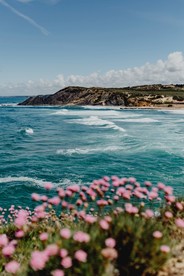 那山那海那花
