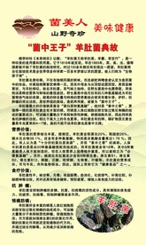 菌美人展板
