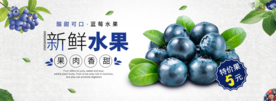 蓝莓水果海报