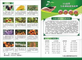 合作社宣传单
