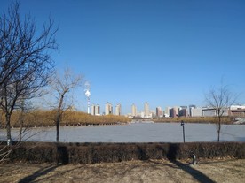 四季 湖面 烟囱 楼 树木