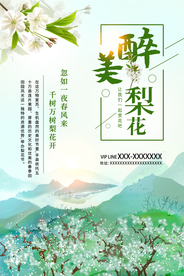 唯美小清新梨花海报
