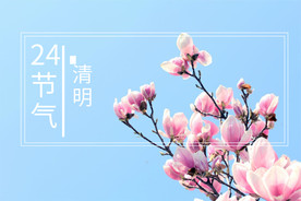 清明节海报 清明节 清明节活