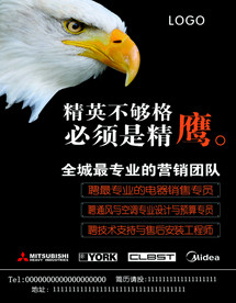 精鹰招聘