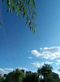 天空