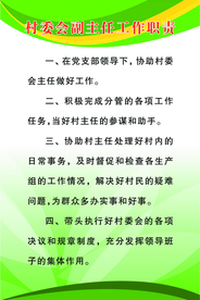 村委会副主任工作职责