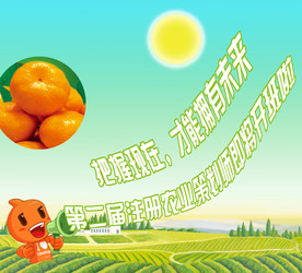 策划师开班