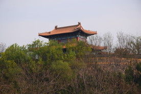 东阿药王山