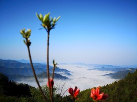 黄山风景区