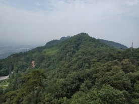 缙云山