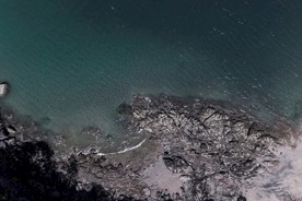 大海