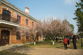 橘子洲