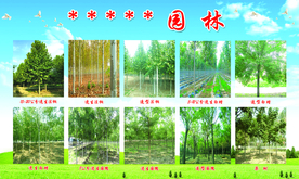 园林绿化