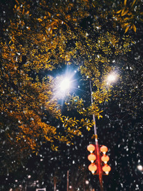 雪夜