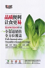 生鲜海报